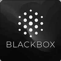 Blackbox AI APK